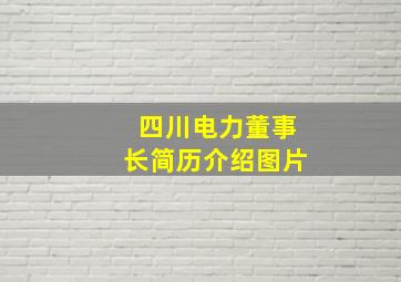 四川电力董事长简历介绍图片