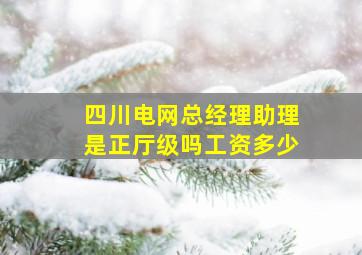 四川电网总经理助理是正厅级吗工资多少