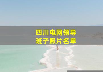 四川电网领导班子照片名单