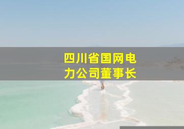 四川省国网电力公司董事长