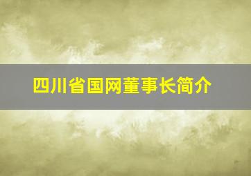 四川省国网董事长简介