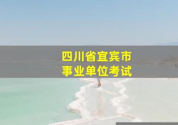 四川省宜宾市事业单位考试