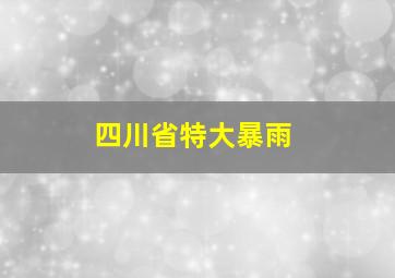 四川省特大暴雨