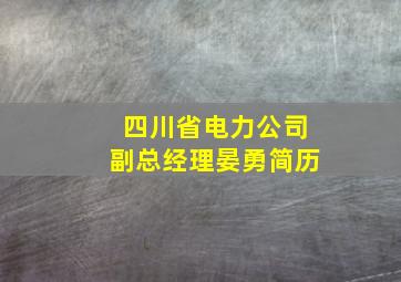 四川省电力公司副总经理晏勇简历