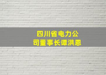 四川省电力公司董事长谭洪恩