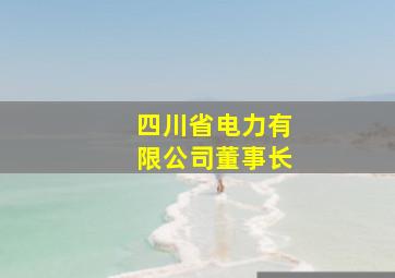 四川省电力有限公司董事长