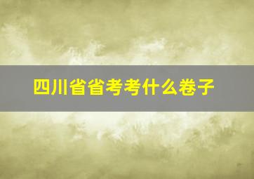 四川省省考考什么卷子