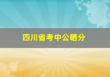 四川省考中公晒分