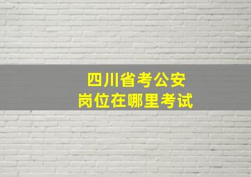 四川省考公安岗位在哪里考试