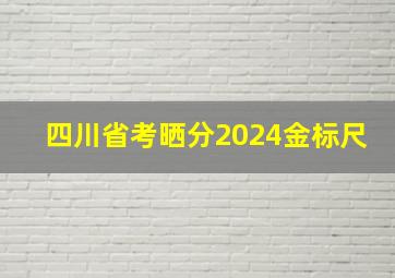 四川省考晒分2024金标尺