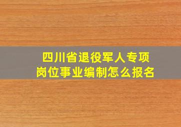 四川省退役军人专项岗位事业编制怎么报名