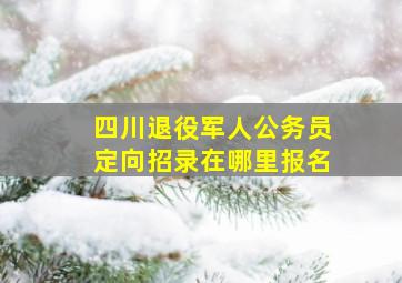 四川退役军人公务员定向招录在哪里报名