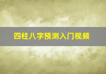 四柱八字预测入门视频