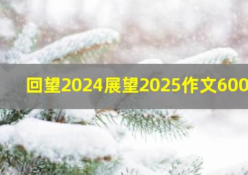 回望2024展望2025作文600字