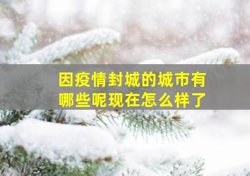 因疫情封城的城市有哪些呢现在怎么样了