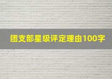 团支部星级评定理由100字