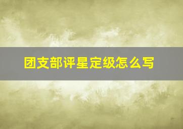 团支部评星定级怎么写