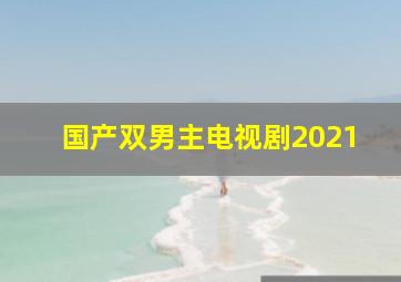 国产双男主电视剧2021