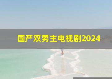 国产双男主电视剧2024