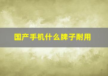 国产手机什么牌子耐用