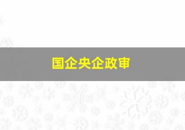 国企央企政审