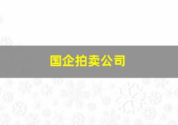 国企拍卖公司