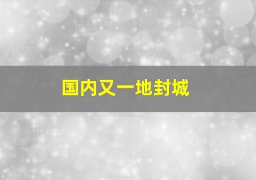 国内又一地封城