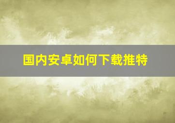 国内安卓如何下载推特