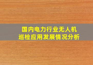 国内电力行业无人机巡检应用发展情况分析