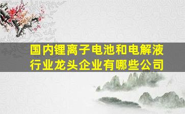 国内锂离子电池和电解液行业龙头企业有哪些公司