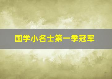 国学小名士第一季冠军