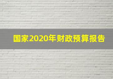 国家2020年财政预算报告