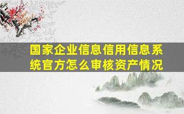 国家企业信息信用信息系统官方怎么审核资产情况