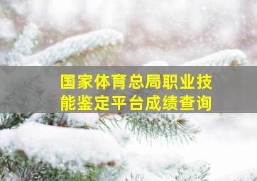 国家体育总局职业技能鉴定平台成绩查询