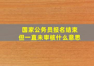 国家公务员报名结束但一直未审核什么意思