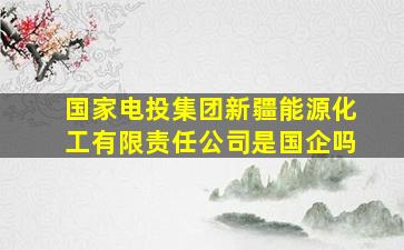 国家电投集团新疆能源化工有限责任公司是国企吗