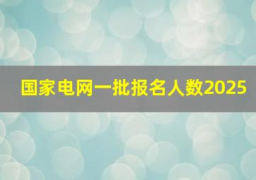 国家电网一批报名人数2025