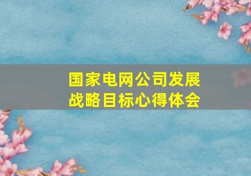 国家电网公司发展战略目标心得体会