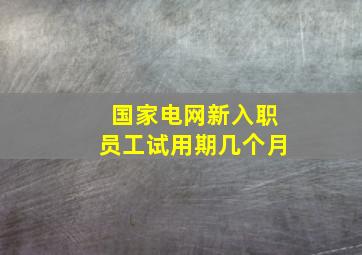 国家电网新入职员工试用期几个月