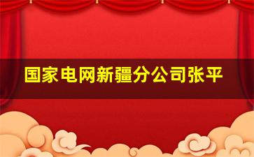 国家电网新疆分公司张平