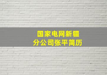 国家电网新疆分公司张平简历