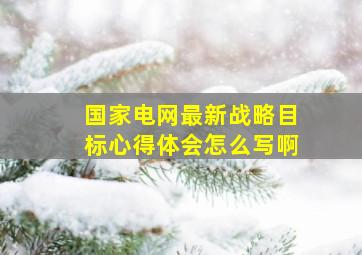 国家电网最新战略目标心得体会怎么写啊