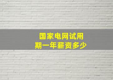 国家电网试用期一年薪资多少