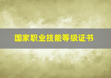 国家职业技能等级证书