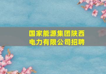 国家能源集团陕西电力有限公司招聘