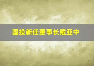 国投新任董事长戴亚中