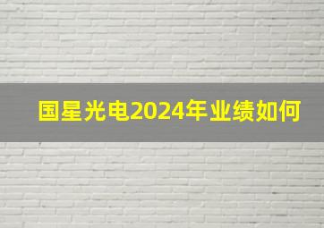 国星光电2024年业绩如何