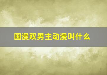 国漫双男主动漫叫什么