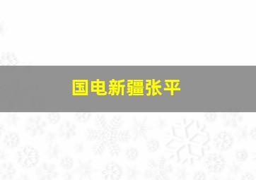 国电新疆张平