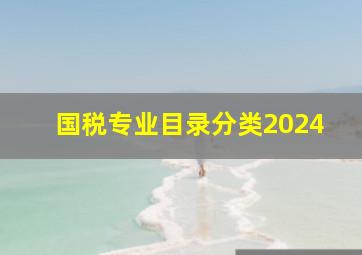 国税专业目录分类2024